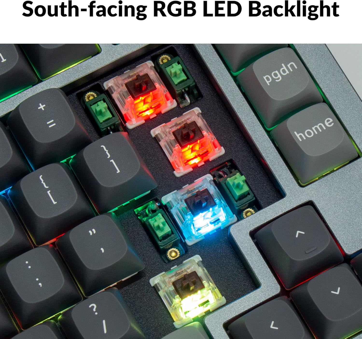 قیمت و خرید از آمازون عکس 6