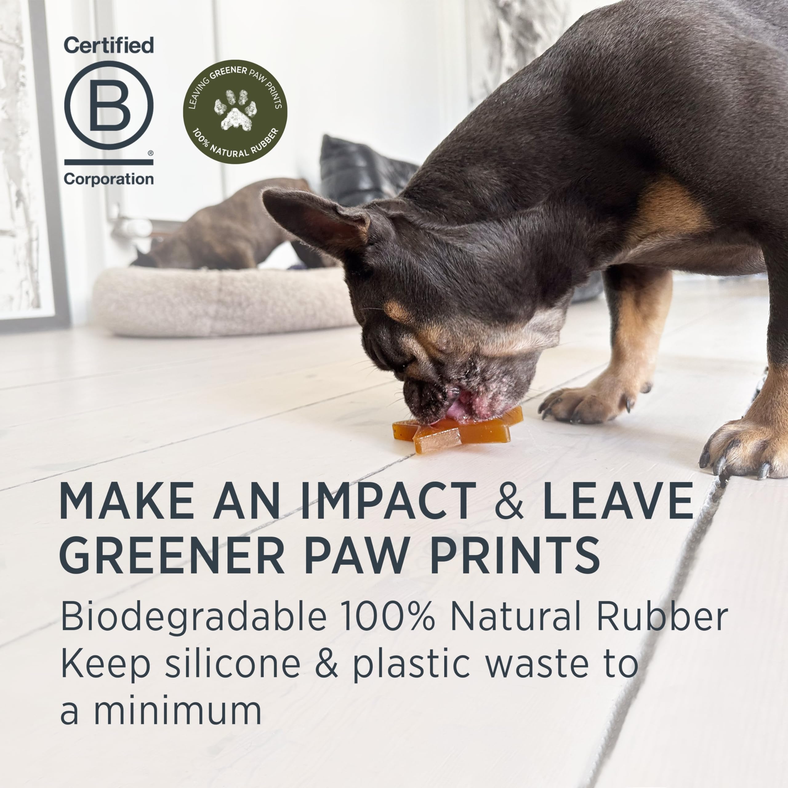 Hevea Star Activation Dog Treat Toy, Natural Rubber Puppy Chew Toy for Sore Gum Relief - Image 3