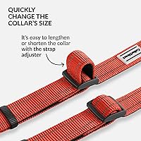 Vista 38 de CollarDirect Reflective Dog Collar for a Small, Medium, Large Dog or Puppy with a Quick Release Buckle - Boy and Girl - Nylon Suitable for Swimming