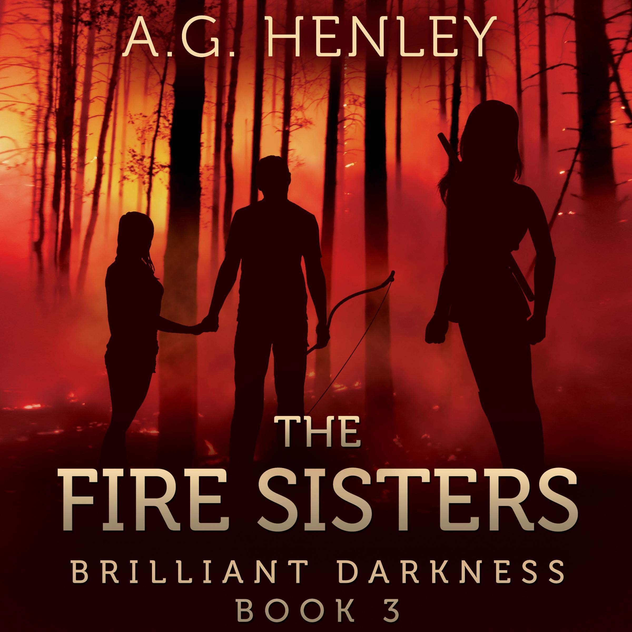 Cover art for The Fire Sisters