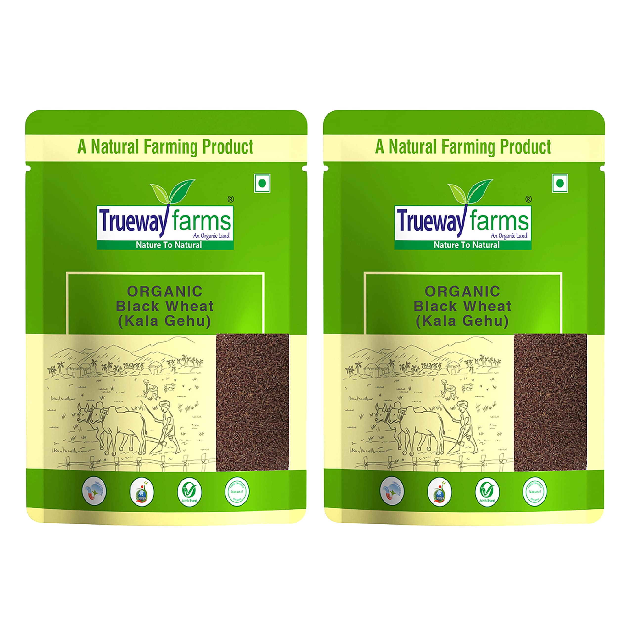 Trueway farms Organic Black Wheat (Kala Gehu) 10 kg (B09RK62KZT) Amazon Price History, Amazon Price Tracker