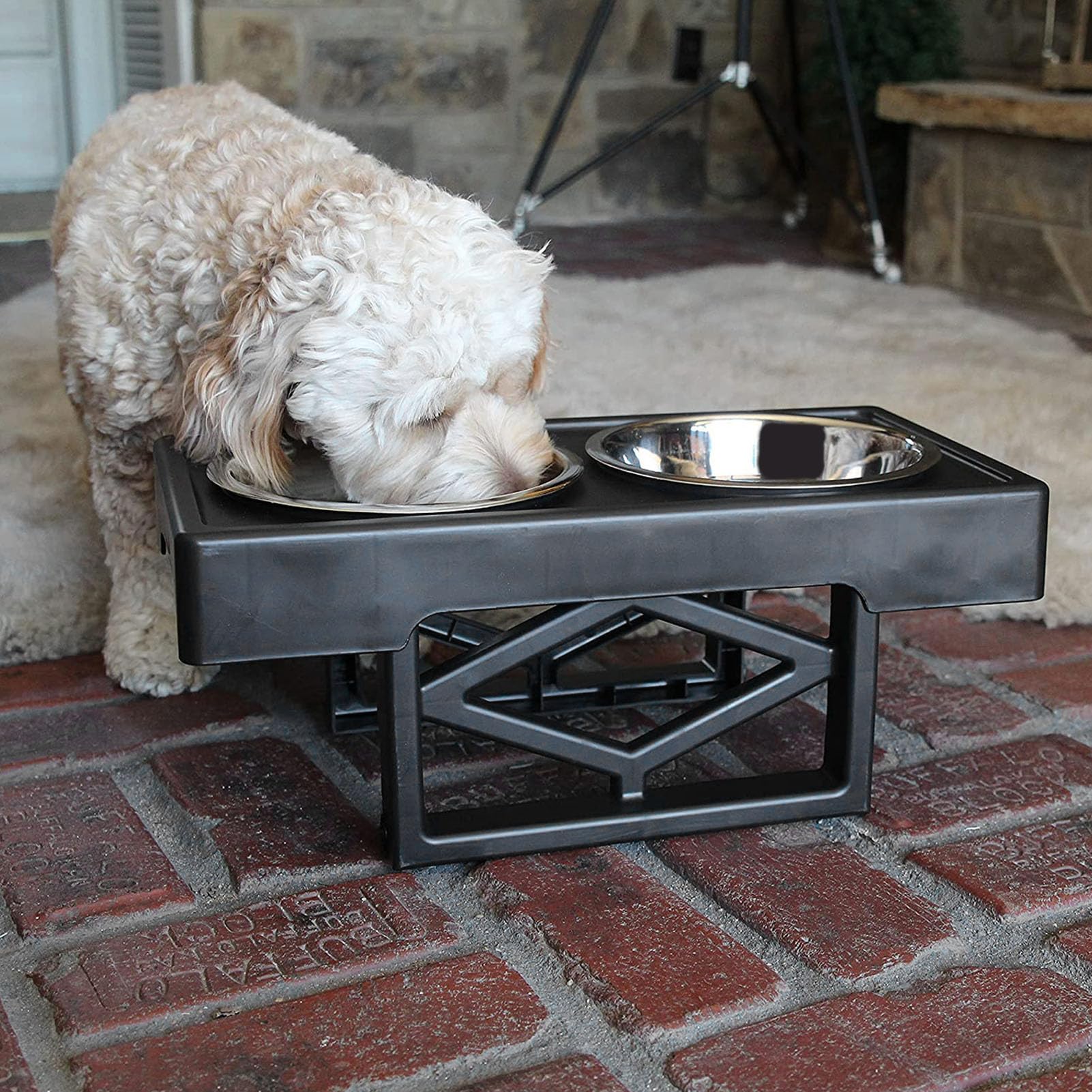 Elevated Dog Bowls for Small Dogs, Raised Dog Bowl Small Dog Bowls with Stand and 2 Bowls Stainless Steel Elevated Dog Bowl Stand for Dogs Cats 48.5x25cm