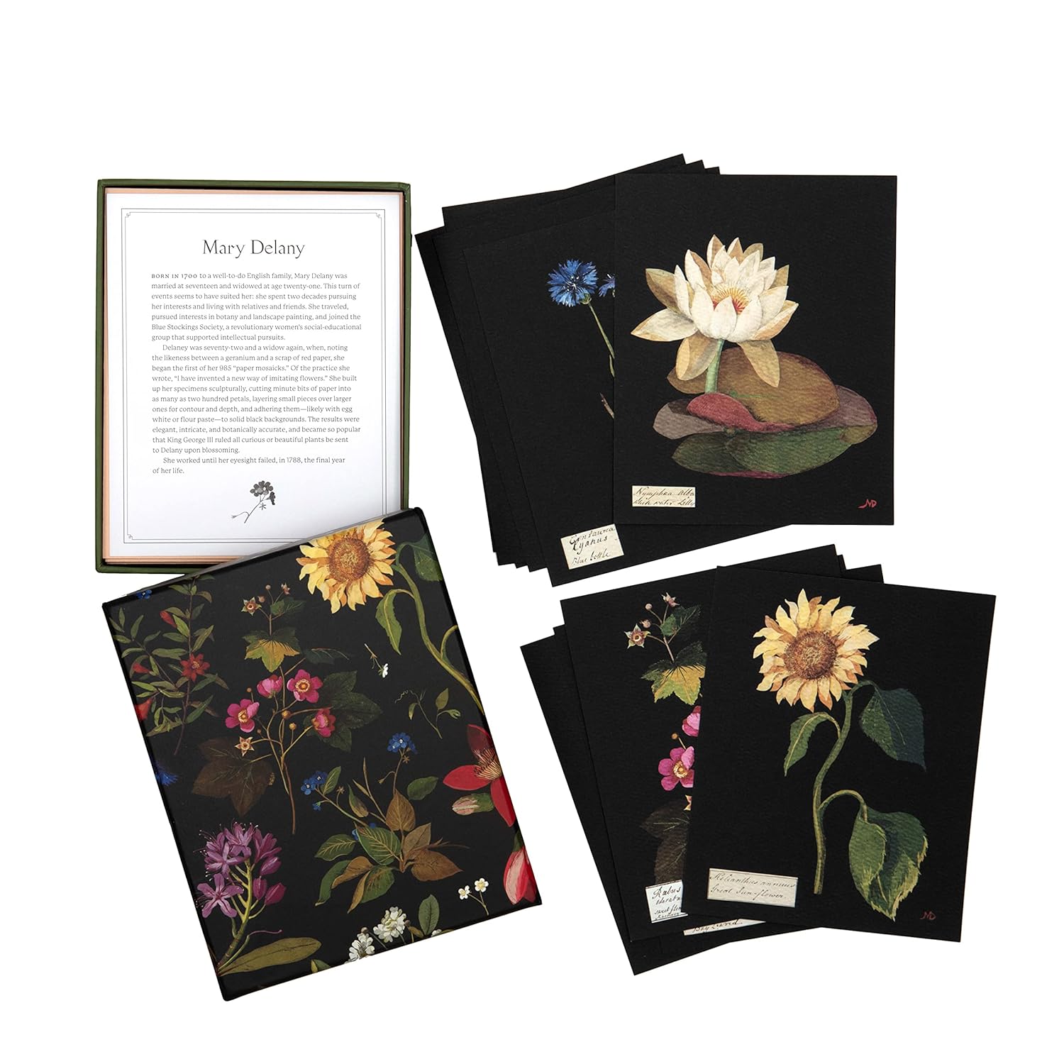 Paper Flowers Cards and Envelopes: The Art of Mary Delany - Image 3