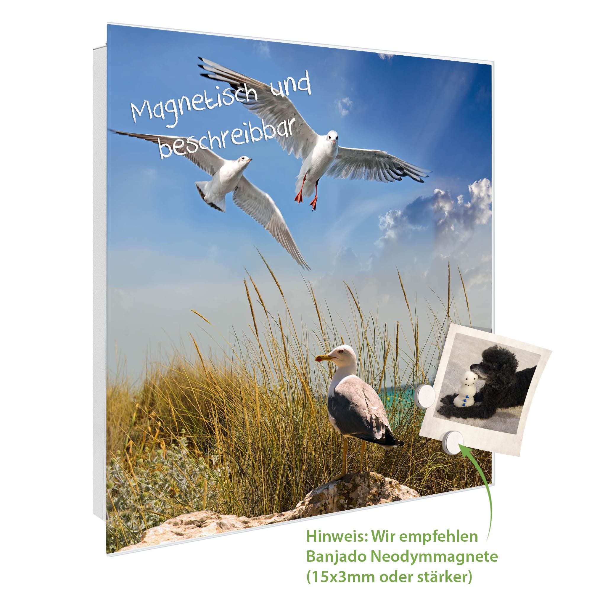 Banjado® Großer Schlüsselkasten Mit Glasfront - 50 Haken & Beschreibbare Tür