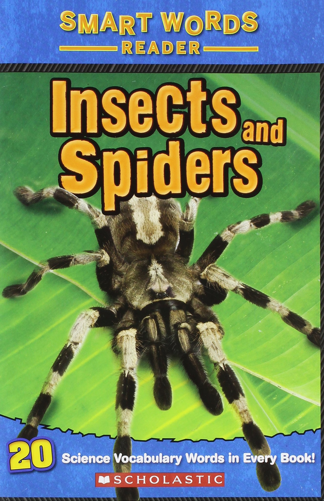 Insects and Spiders Hardcover Christine A. Caputo