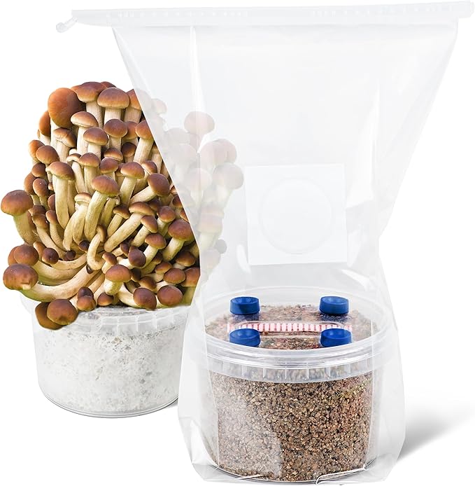 Surfin' Spores All in One Mushroom Grow Kit Sterilized