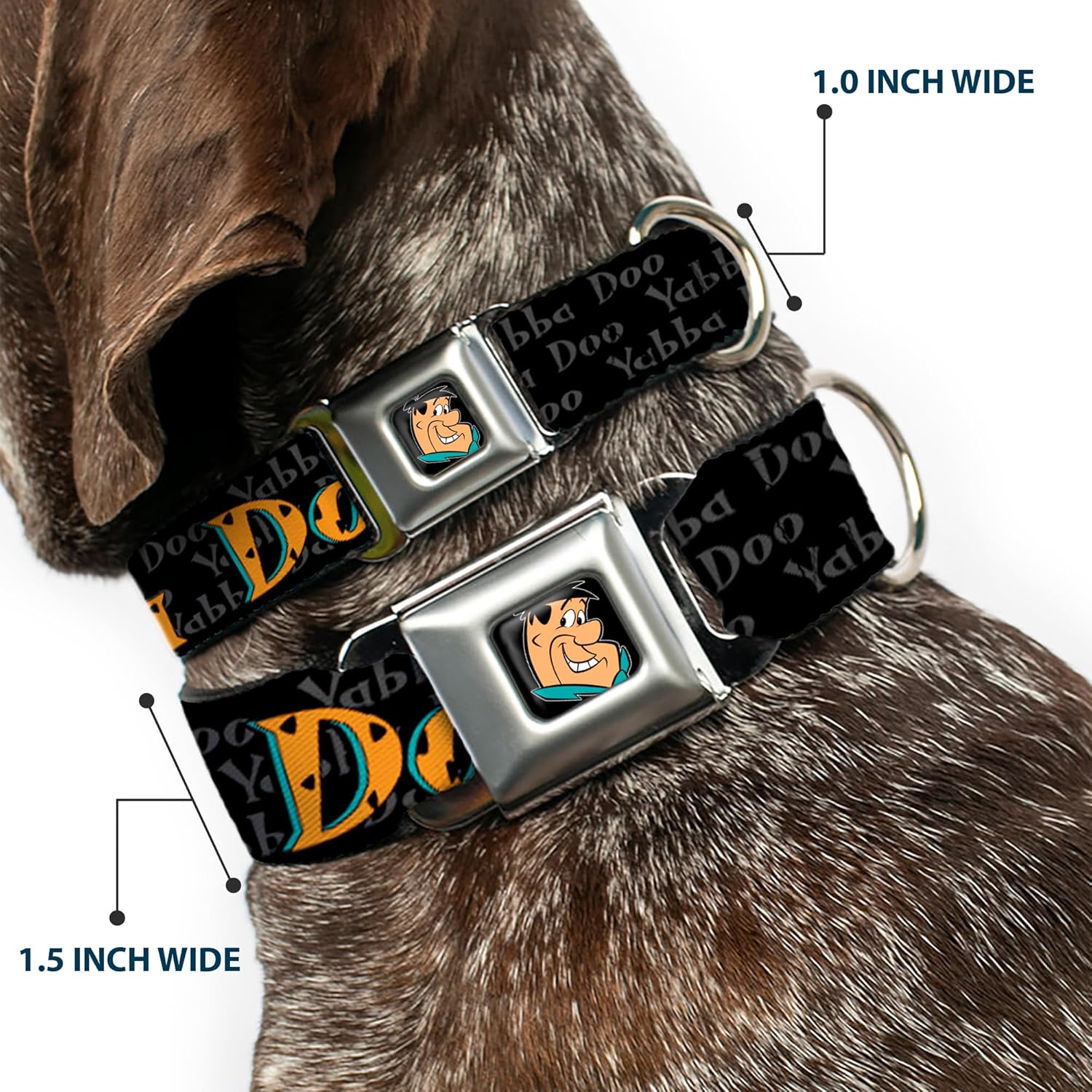 Dog Collar Seatbelt Buckle Fred Face Pose Yabba Dabba Doo Black Gray Orange 15 to 26 Inches 1.0 Inch Wide