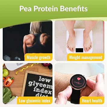 Pure Pea Protein Powder, 80% Protein Content, Unflavored Vegan Pea Protein Isolate, Non-GMO, Gluten Free, Dairy Free,Plant Based Protein Powder from North America (1.8 lb, 40 Servings)