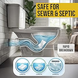 BOOTY WIPES 80 Flushable Wipes for Men and Women - Wipes for Adults, Infused with Vitamin E and Aloe - Extra-Large Moist Towelettes - pH Balanced for Sensitive Skin - Suitable for Bathroom and Travel