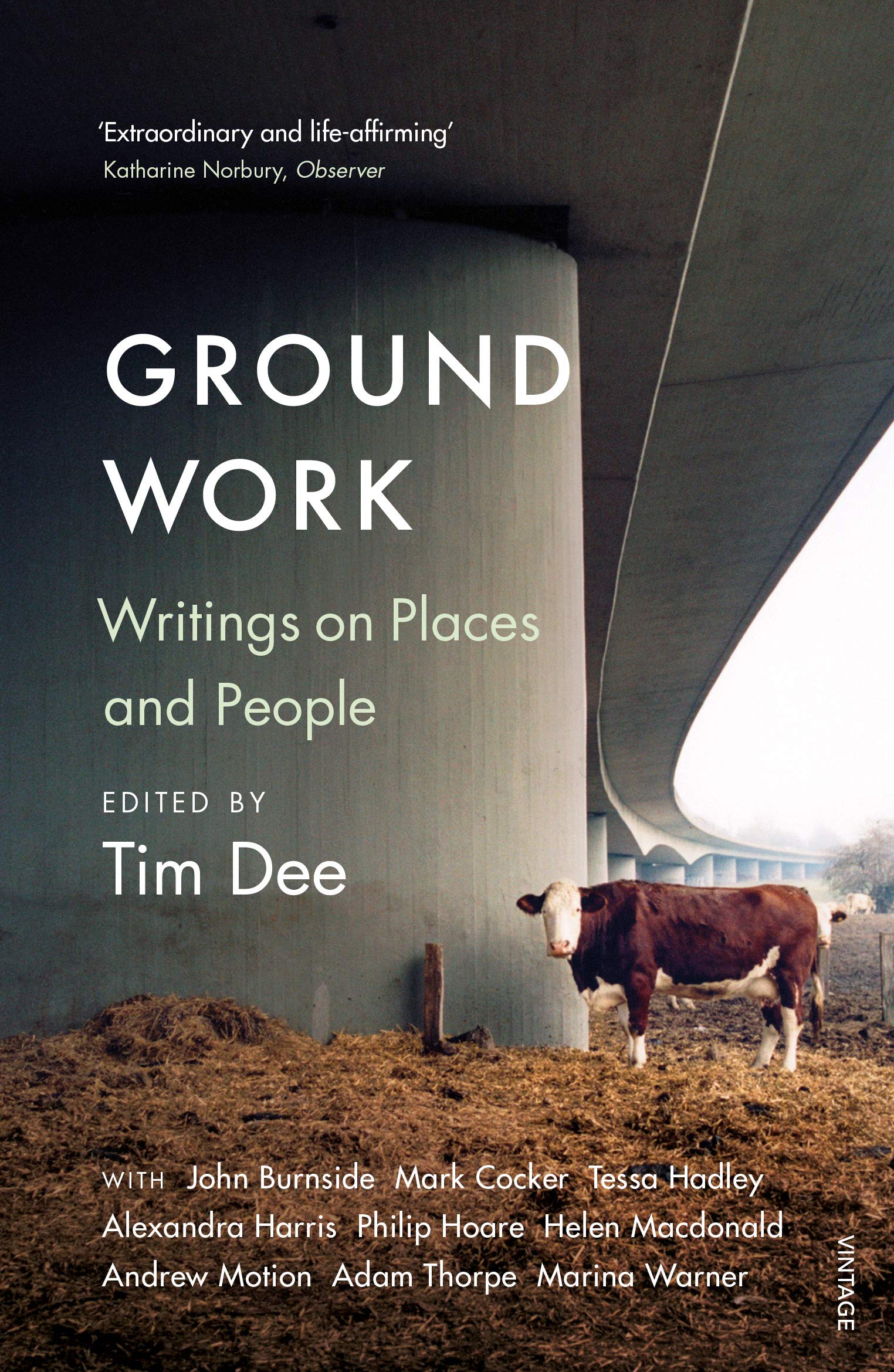 Ground Work: Writings on People and Places: Amazon.co.uk: Dee, Tim ...