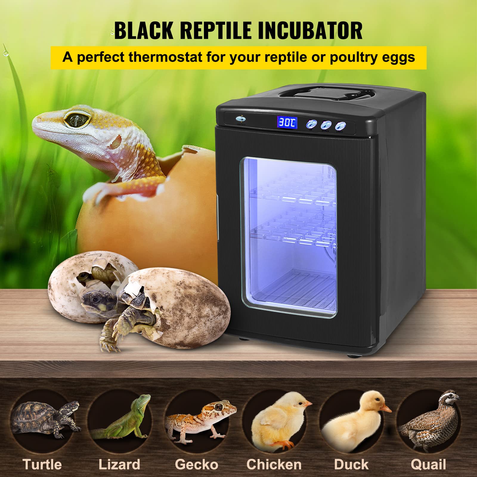 Happybuy Black Reptile Incubator 25L Scientific Lab Incubator Digital Incubator Cooling and Heating 5-60°C Reptile Egg Incubator 12V/110V Work for Small Reptiles