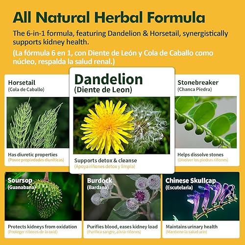Miniatura 4 de Herbmood Diente de Leon y Chanca Piedra para cálculos renales, Cola de Caballo para el agua lejos y alivio del edema. Extracto de hierbas naturales