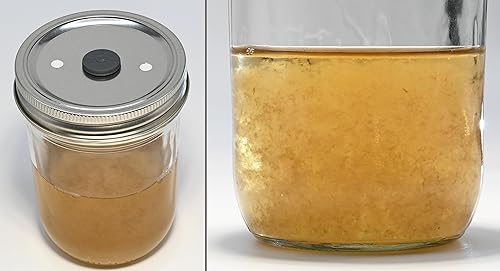 Miniatura 3 de Root Mushroom Farm -- Premezclabotella de cultivo líquido de hongos (4.23 oz, polvo)