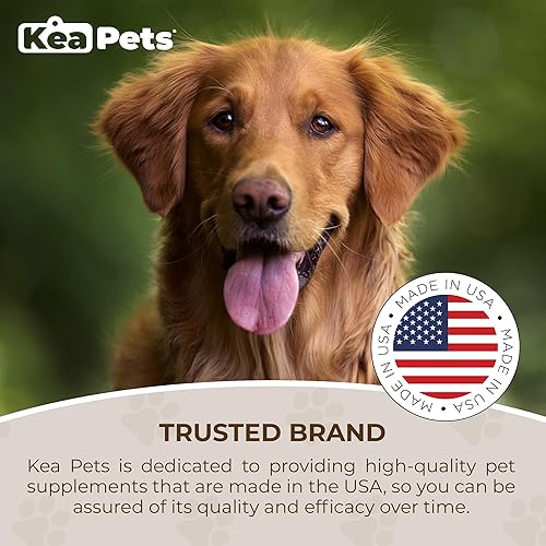 Miniatura 5 de Condimentos para perros, apoyo respiratorio para mascotas, un suplemento natural para perros para una respiración óptima del perro, senos nasales