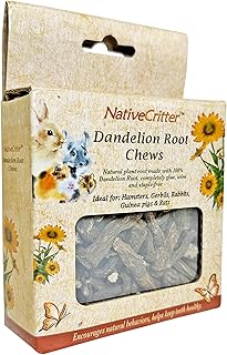 Exotic Nutrition Dandelion Root Chinchillas