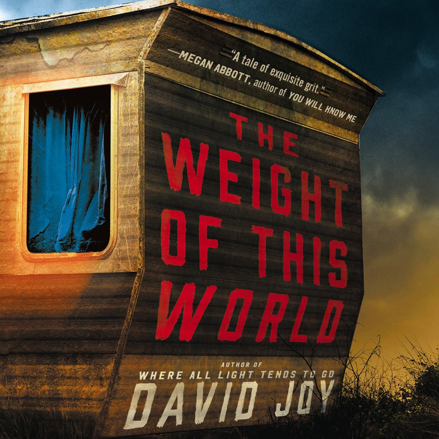Cover art for The Weight of This World