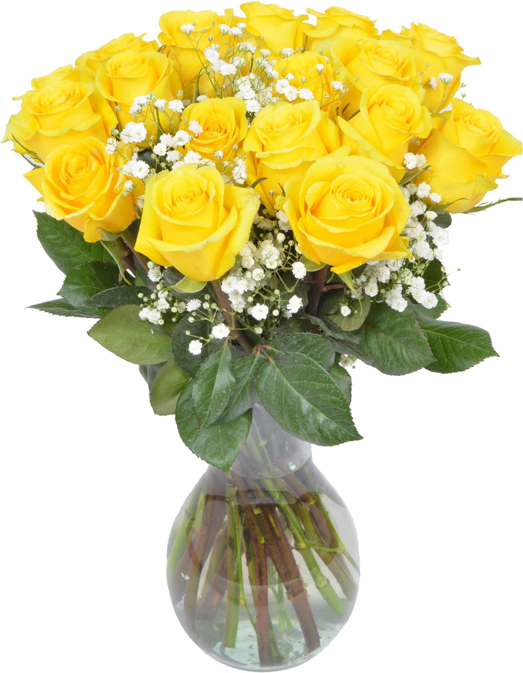 18 Yellow Roses + Baby's Breath in glass Vase | Arabella Bouquets | Real Fresh Flowers for Delivery, Gift for Birthday, Congratulations, Anniversary