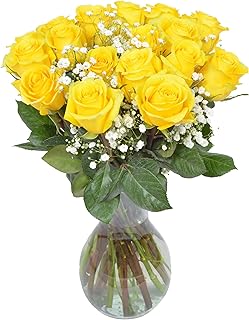 18 Yellow Roses + Baby's Breath in glass Vase | Arabella Bouquets | Real Fresh Flowers for Delivery, Gift for Birthday, Congratulations, Anniversary