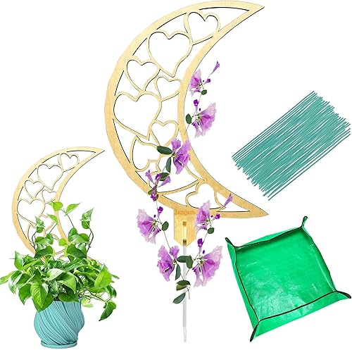 JamJam Enrejados de madera para plantas de 23 pulgadas, enrejado pequeño Hoya para plantas en maceta para trepar en maceta, hiedra, flores, soportes