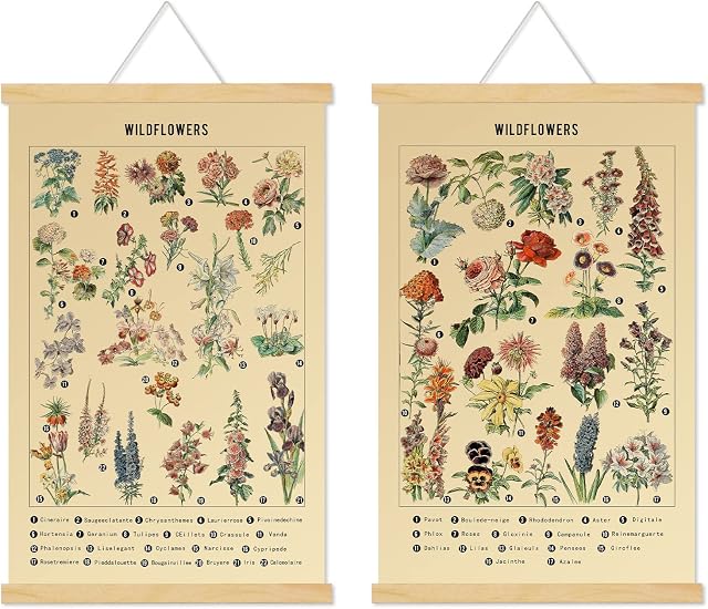 QINREN 2pcs Vintage Wildflowers Poster, Botanical Wall Art Prints Colorful Floral Wall Hanging with Wooden Frame Illustrative Flower Poster for Living Room Bedroom Office Classroom, 11.8 x 17.7 inch