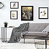 Product Photo 6
