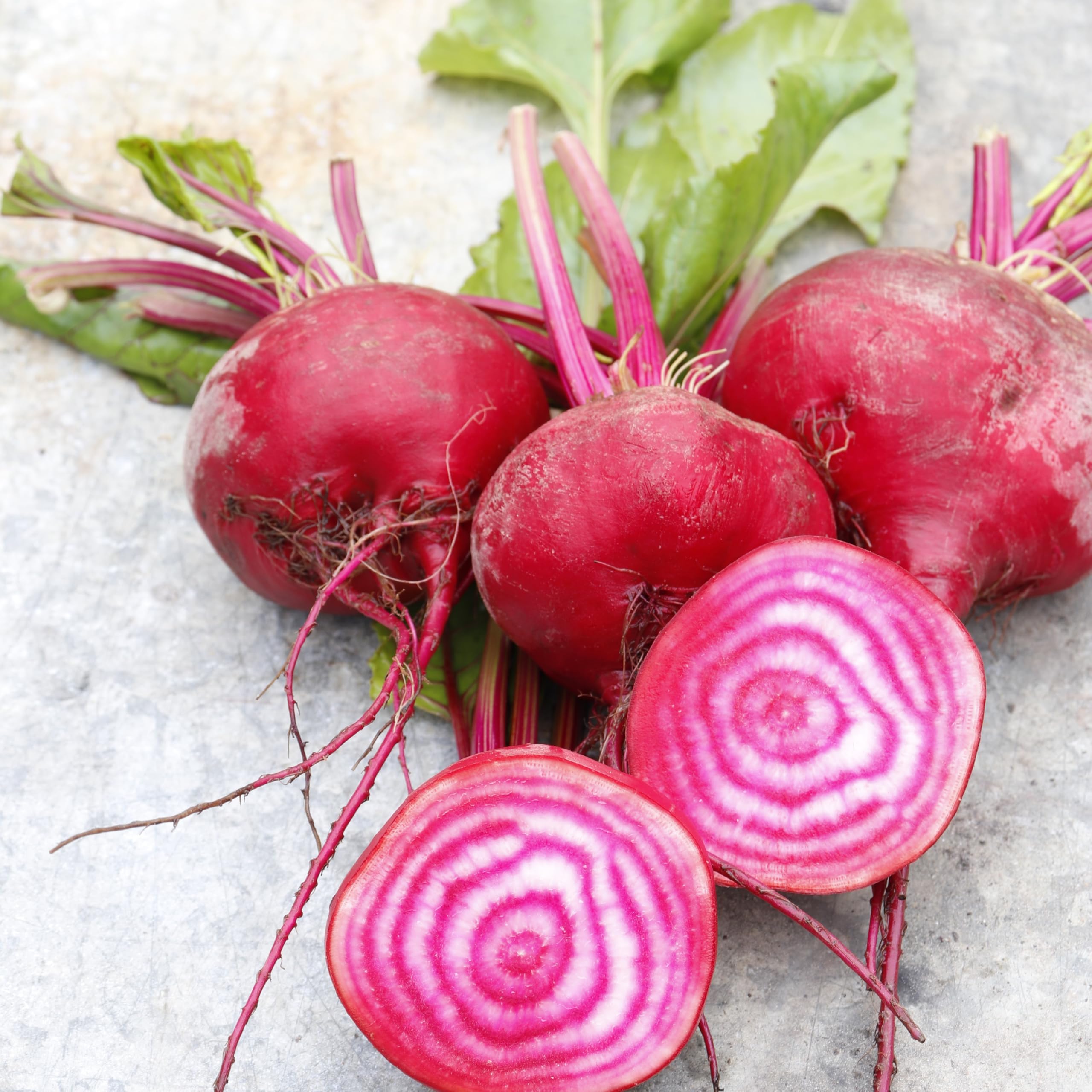 Italian Heirloom Beetroot - CHIOGGIA - 5 Grams