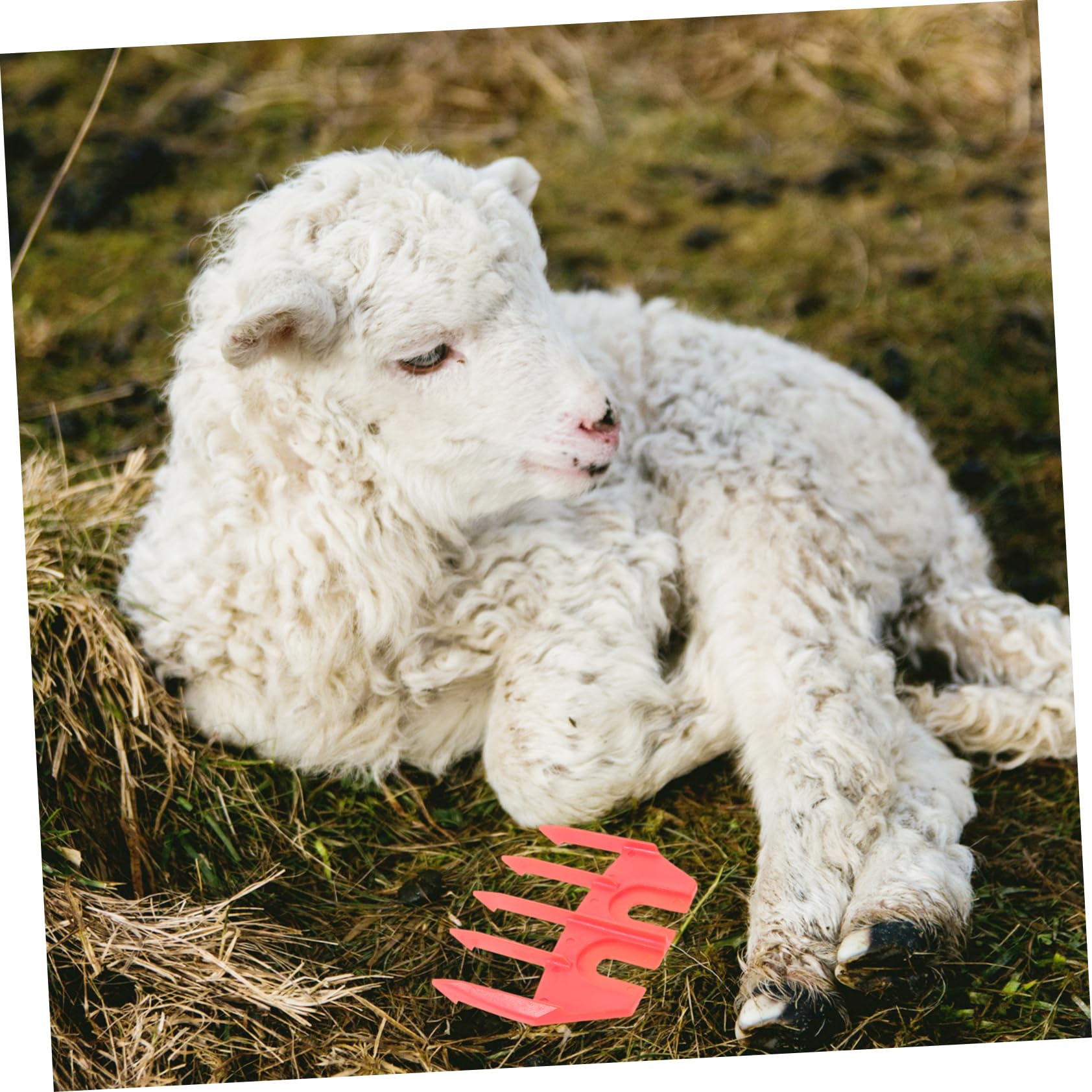 BESTonZON 5pcs Detachable Shear Guide Clipper Guide for Shearing Scissors Accessory