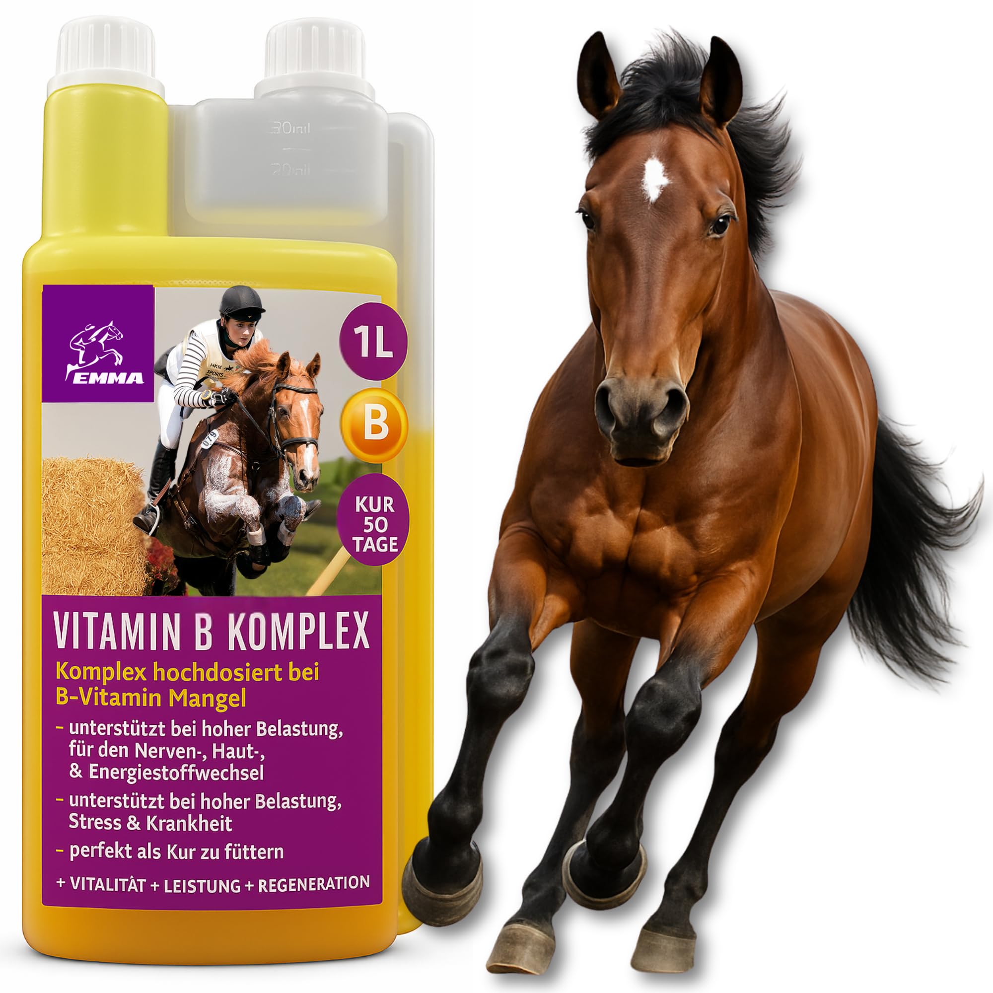 Complejo vitamínico B Caballo 1L Líquido I Vitamina B Altamente dosificada con B1 B2 B6 B12 vitaminas B El Complejo vitamínico B favorece la Musculatura el Sistema inmunitario metabolismo nervioso