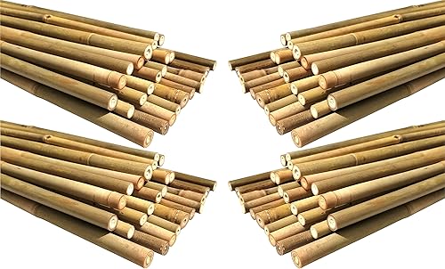 Miniatura 5 de Postes de bambú natural, estacas de jardín ecológicas de 4 pies de largo, diámetro de 38 pulgadas (25 unidades)