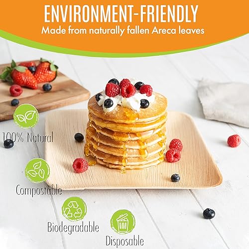 Miniatura 5 de Raj Eco Platos compostables de hoja de palma como platos de bambú desechables  8 pulgadas cuadrados 50 platos de fiesta, de madera natural,