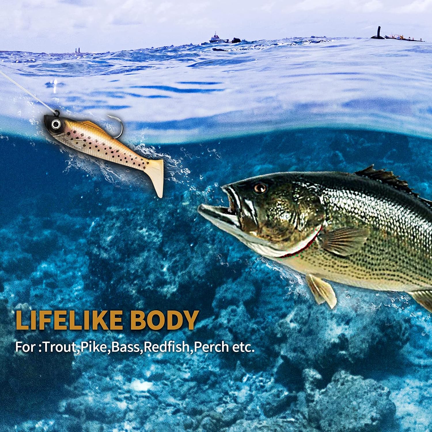 Craftend Soft Fishing Lures,Soft Swimbaits Lifelike Fishing Lure Fishing Bait for Saltwater and Freshwater Bass Perch Trout Walleye Fishing Leaded Jigs Lures Kits of 6 : Sports & Outdoors