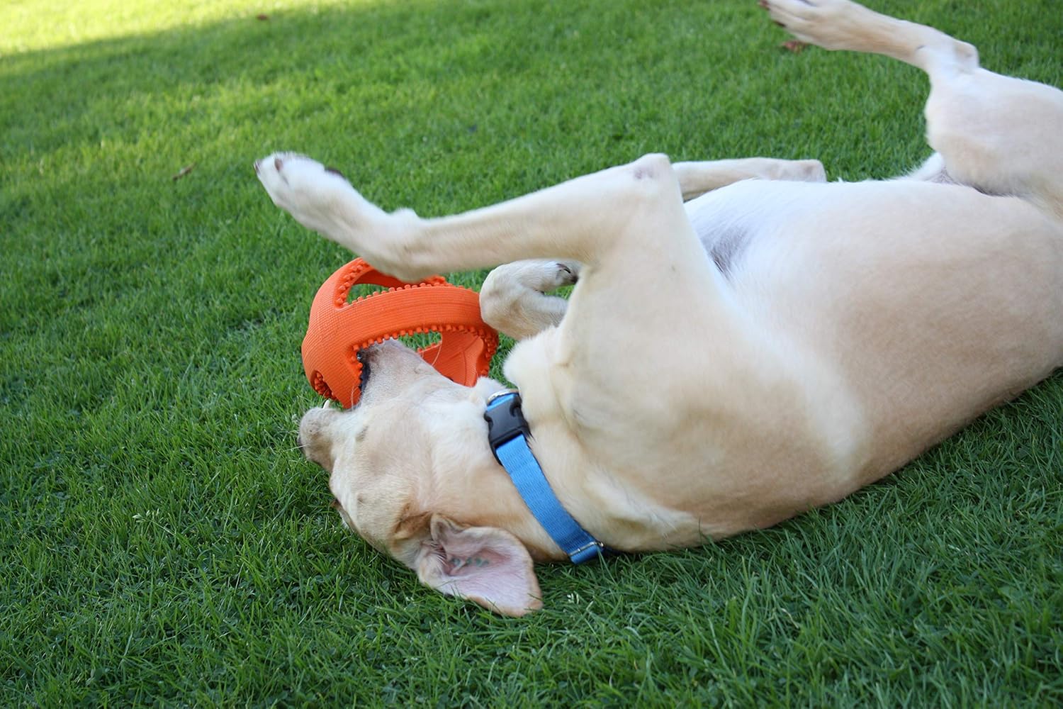 Happy Pet Cultivator Football Dog Puppy Toy Durable Strong Bouncy Fun Interactive Chewing Playing Fetch Retrieve for Small Medium Large Breeds 18cm