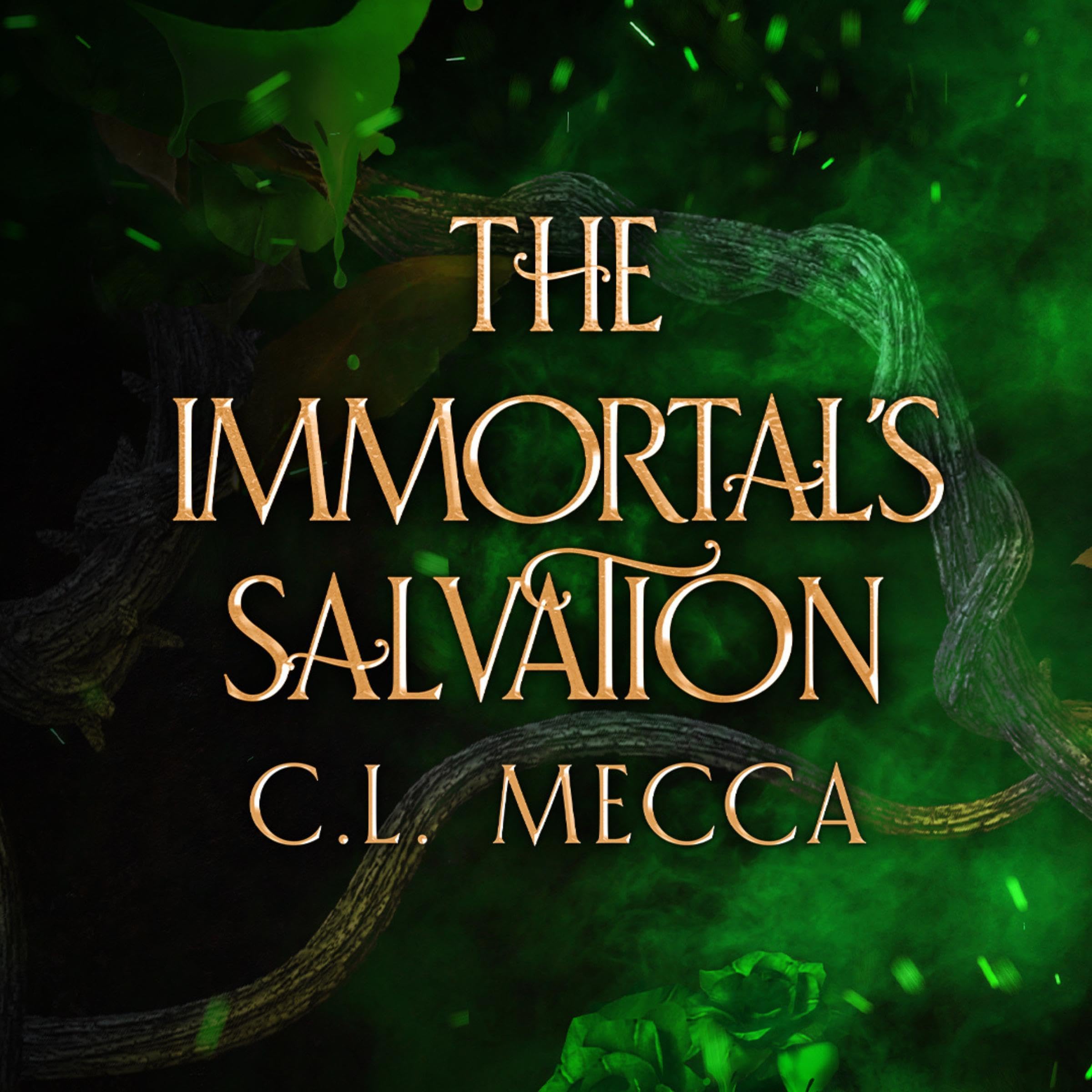 Cover art for The Immortal's Salvation