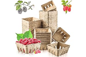Vmiapxo Natural Pulp Fiber Produce Baskets