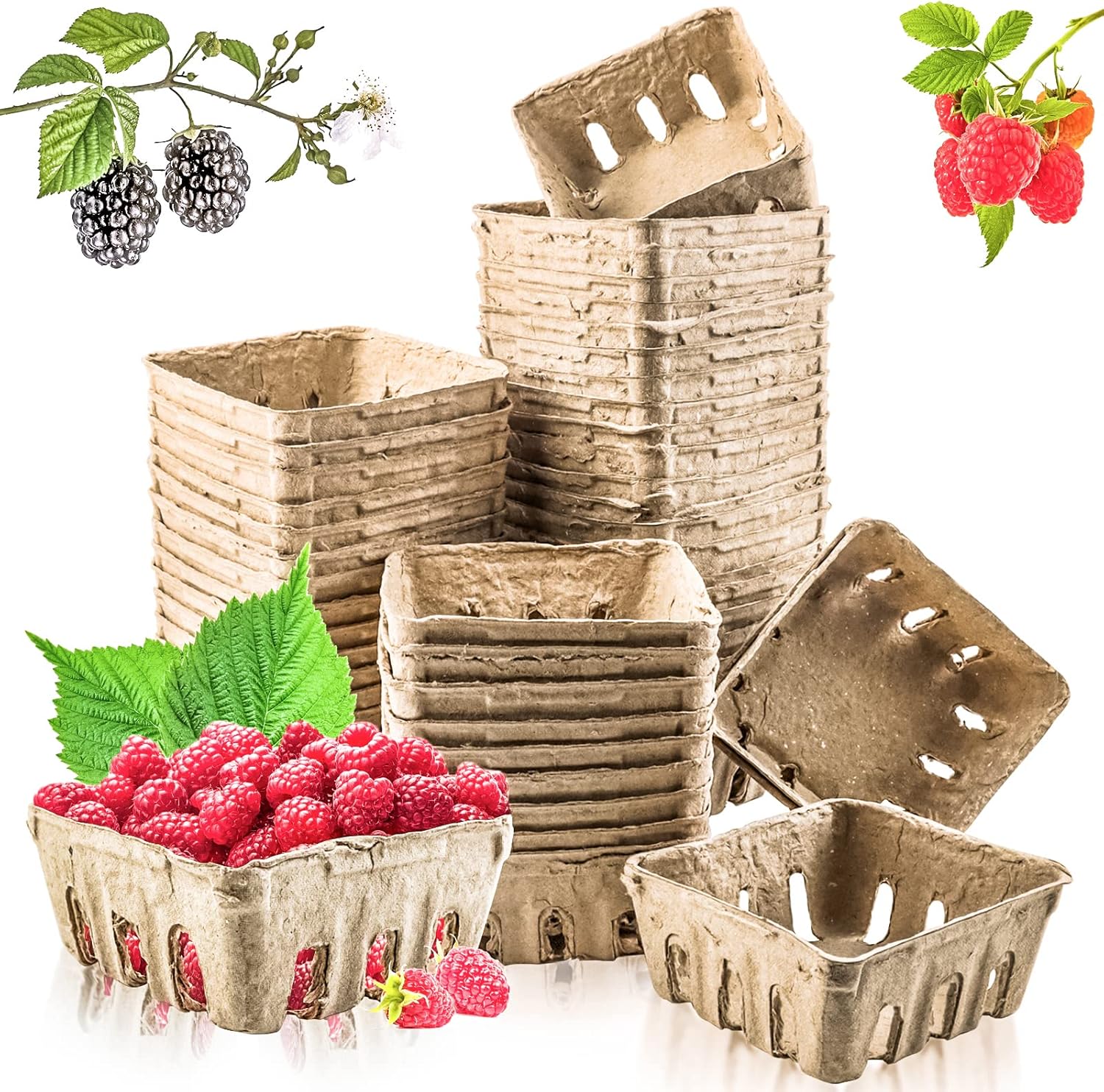 Vmiapxo 50 Pack Natural Pulp Fiber Berry Basket, Small