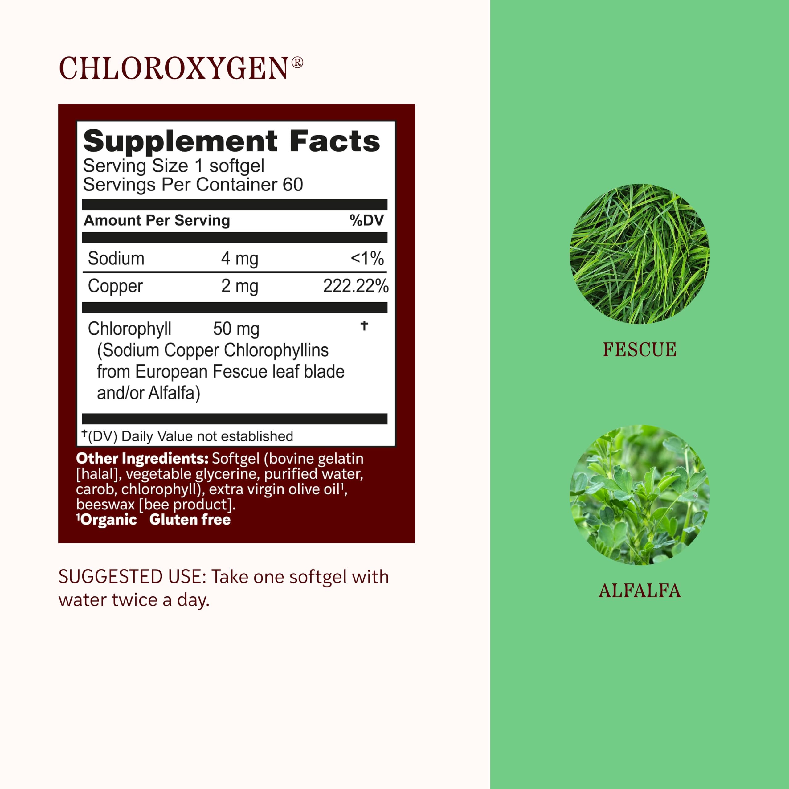 Herbs, Etc. ChlorOxygen Chlorophyll Concentrate Softgels, 60 Count — Amazon image 4