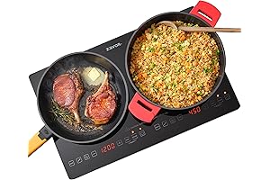 Zavor G2 Dual Burner: Cooktop Revolution