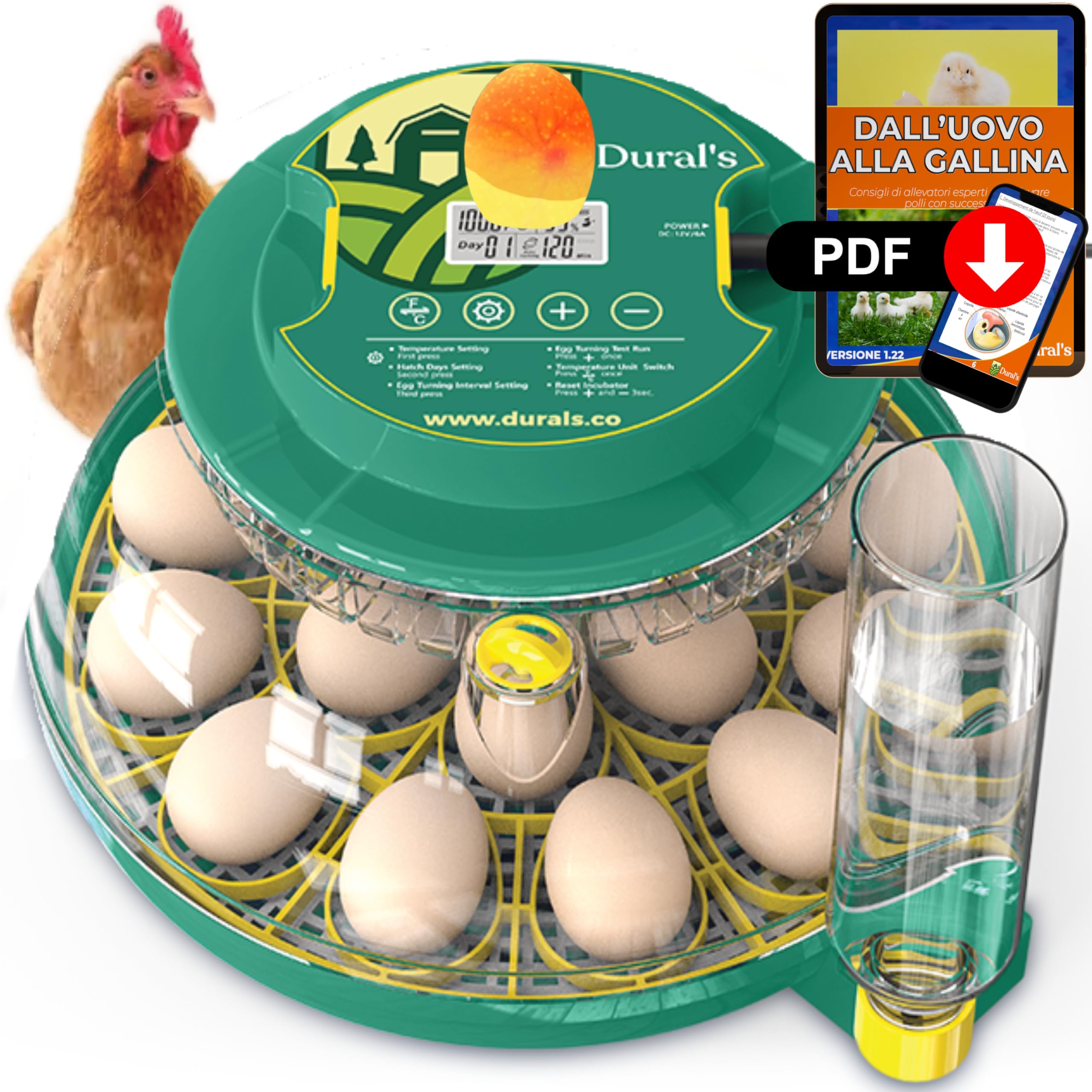 Dural's DX5® | Professionale Incubatrice per Uova Automatica | Certificata CE | Controllo Preciso di Temperatura e Umidità | Gallina, Quaglia e Anatra | Manuale e EBOOK in ITALIANO (DX5)