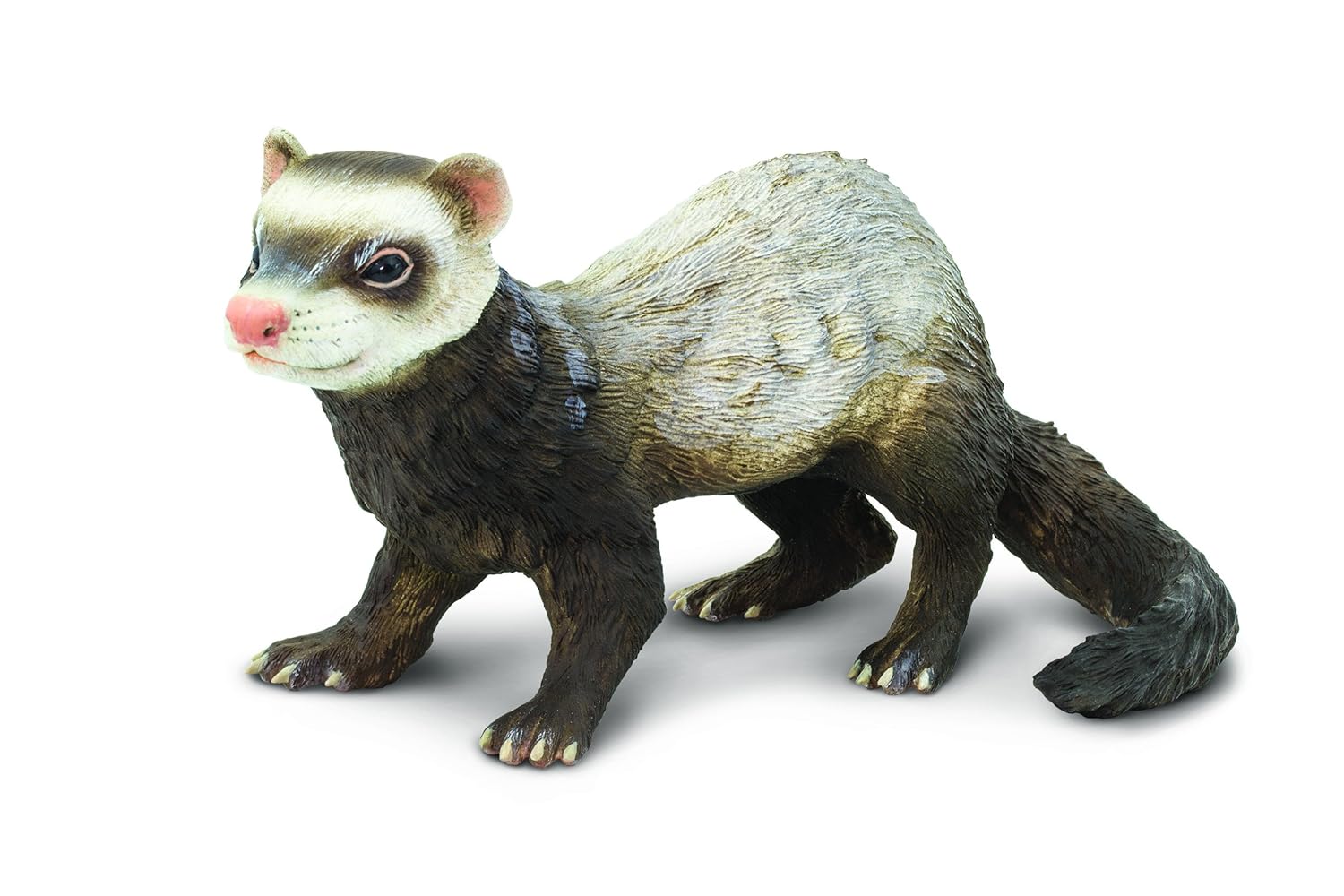 Buy Safari Ltd Ferret Online at Low Prices in India Amazon.in