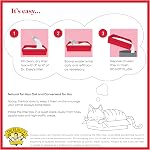 Dr. Elsey's® Litière agglomérante Cat Attract® en argile 18 lb.