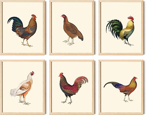 97 Decor Póster vintage de ballena Decoración de ballena para guardería, arte de pared con estampado de ballena, imágenes de ballena Beluga para