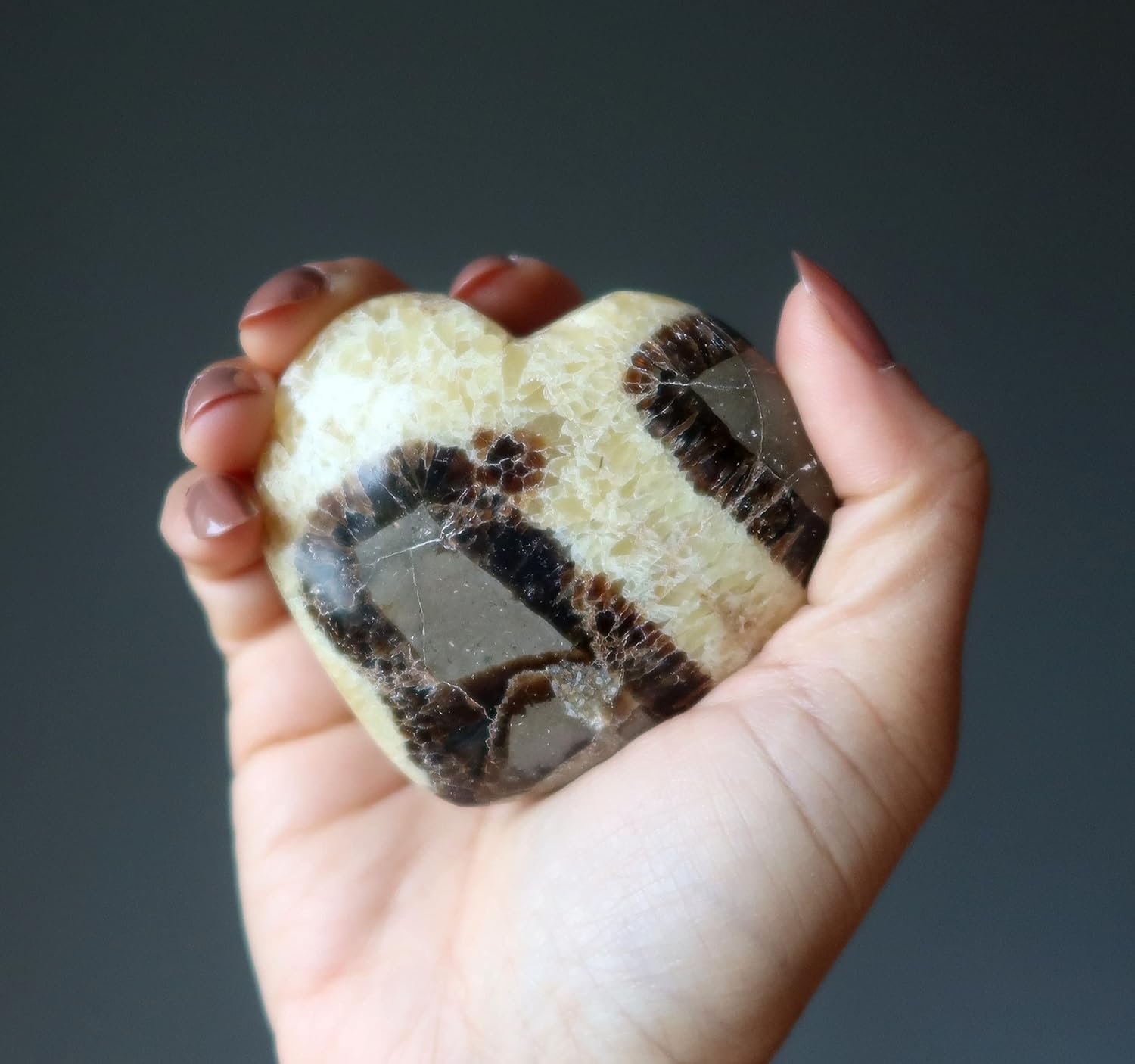 Satin Crystals Septarian Heart Dragon Stone Brown Yellow Calcite 2.75-3.0 Inches