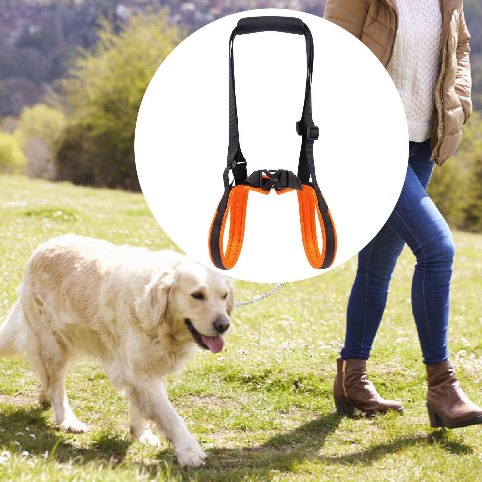 Amazon | ShengQuanHao 犬用リフトハーネス、調整可能なアシスト Amazon | ShengQuanHao 犬用リフトハーネス、調整可能なアシスト