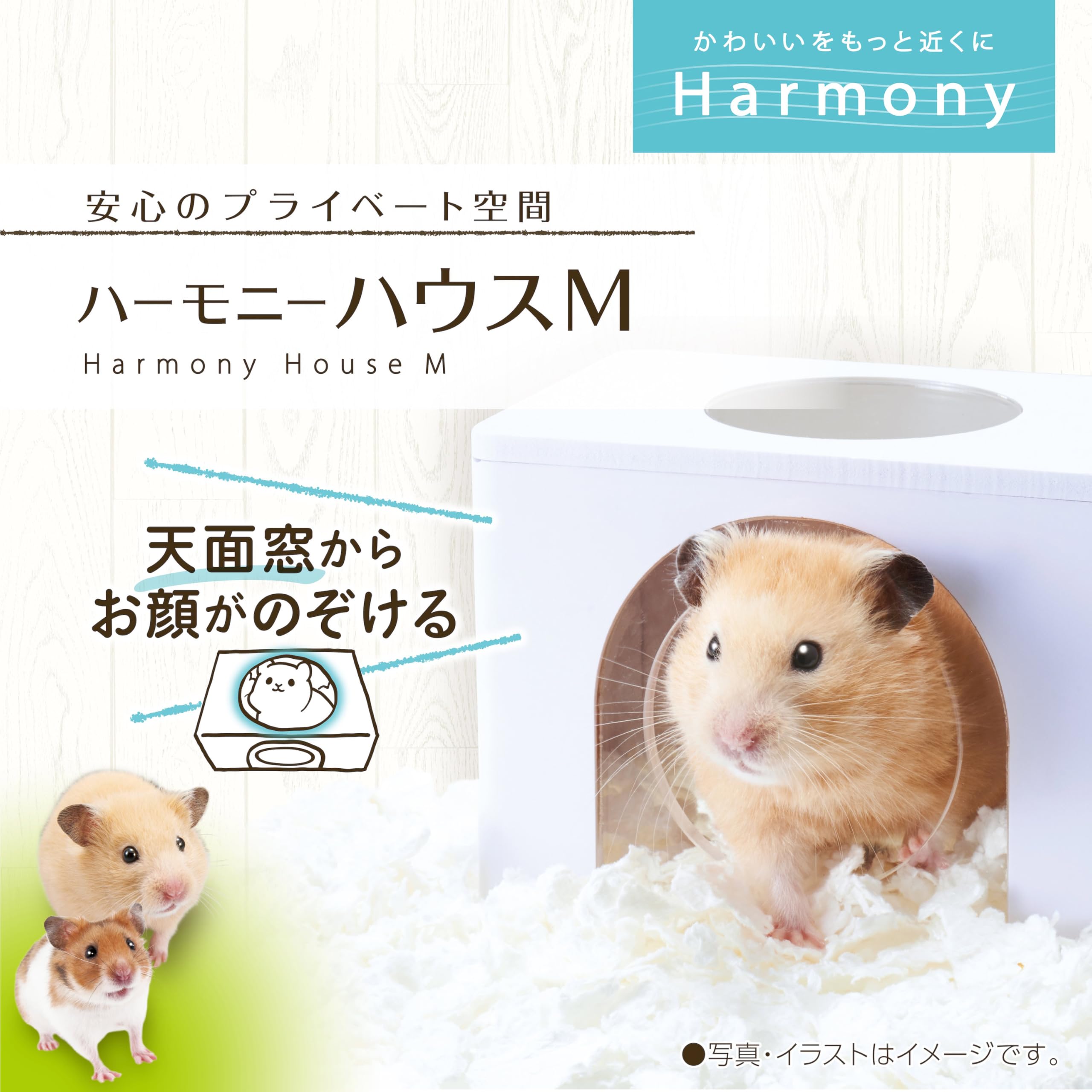 Amazon | ジェックス Harmony ハーモニーハウス 天面窓付き ハムスター