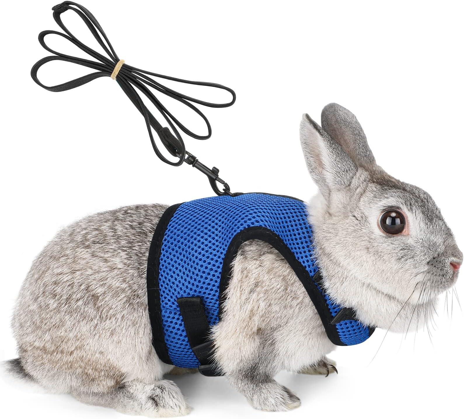 HAPPY HACHI Rabbits Harness, With Elastic Lead, Adjustable Rabbit Harness And Lead Set, Mesh Vest for Hamsters Small Cats Guinea Pig Walking(S, Blue)
