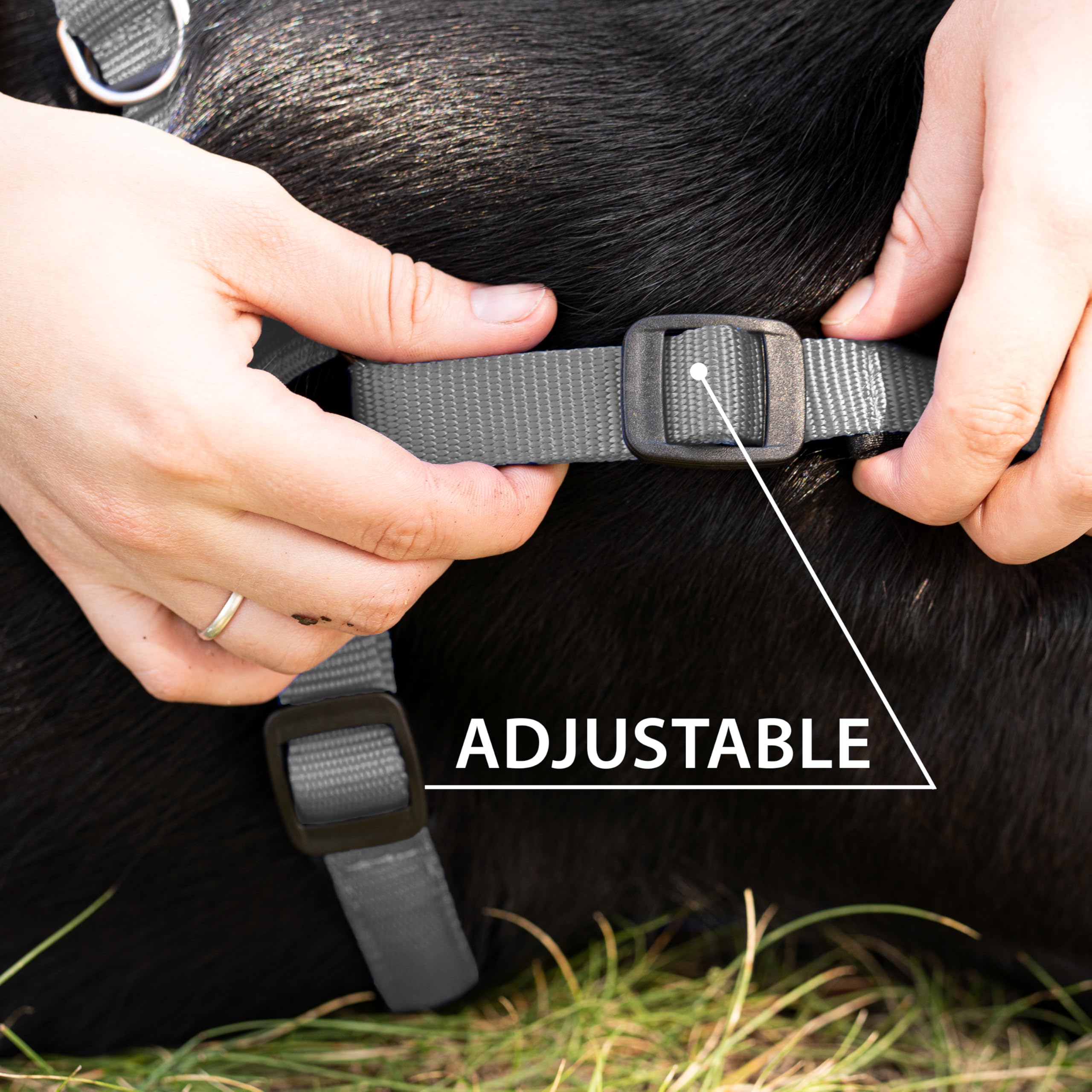 Ferplast Dog Harness DAYTONA, Large Dog Harness, Padded, Adjustable, Grey, Dogs chest: 88-100 cm - Image 4