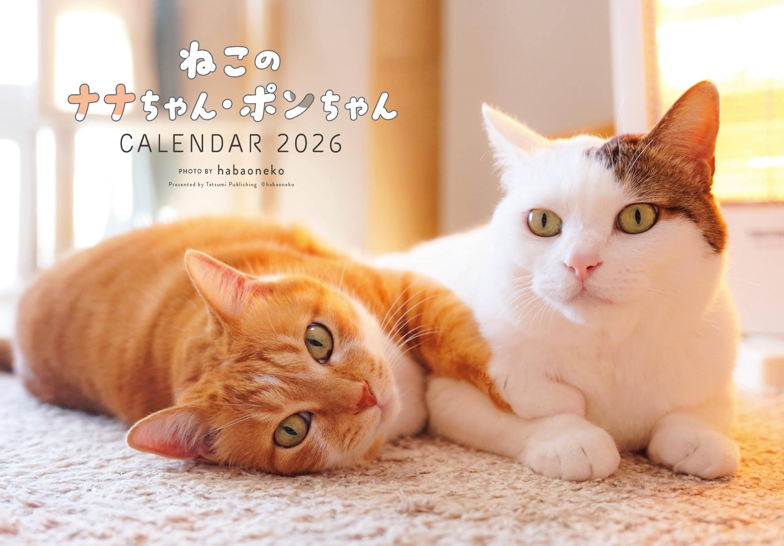 2026 ねこのナナちゃん・ポンちゃんカレンダー | habaoneko |本