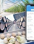 Govee WiFi Hygromètre numérique, capteur de température intelligent d'humidité intérieure avec notification d'application, 2 Stockage de données gratuit des années, moniteur à distance pour la cave à vin de l'incubateur de serre de chambre