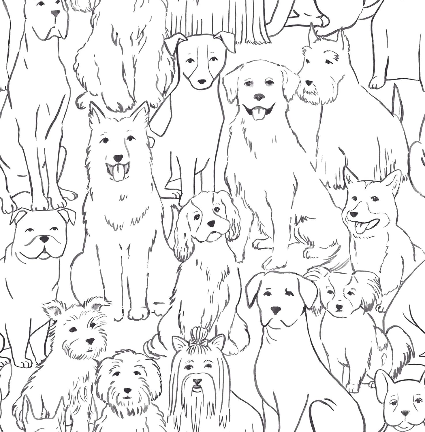 NuWallpaper NUS3675 Black Paws On Peel Stick Wallpaper, White & Off-White