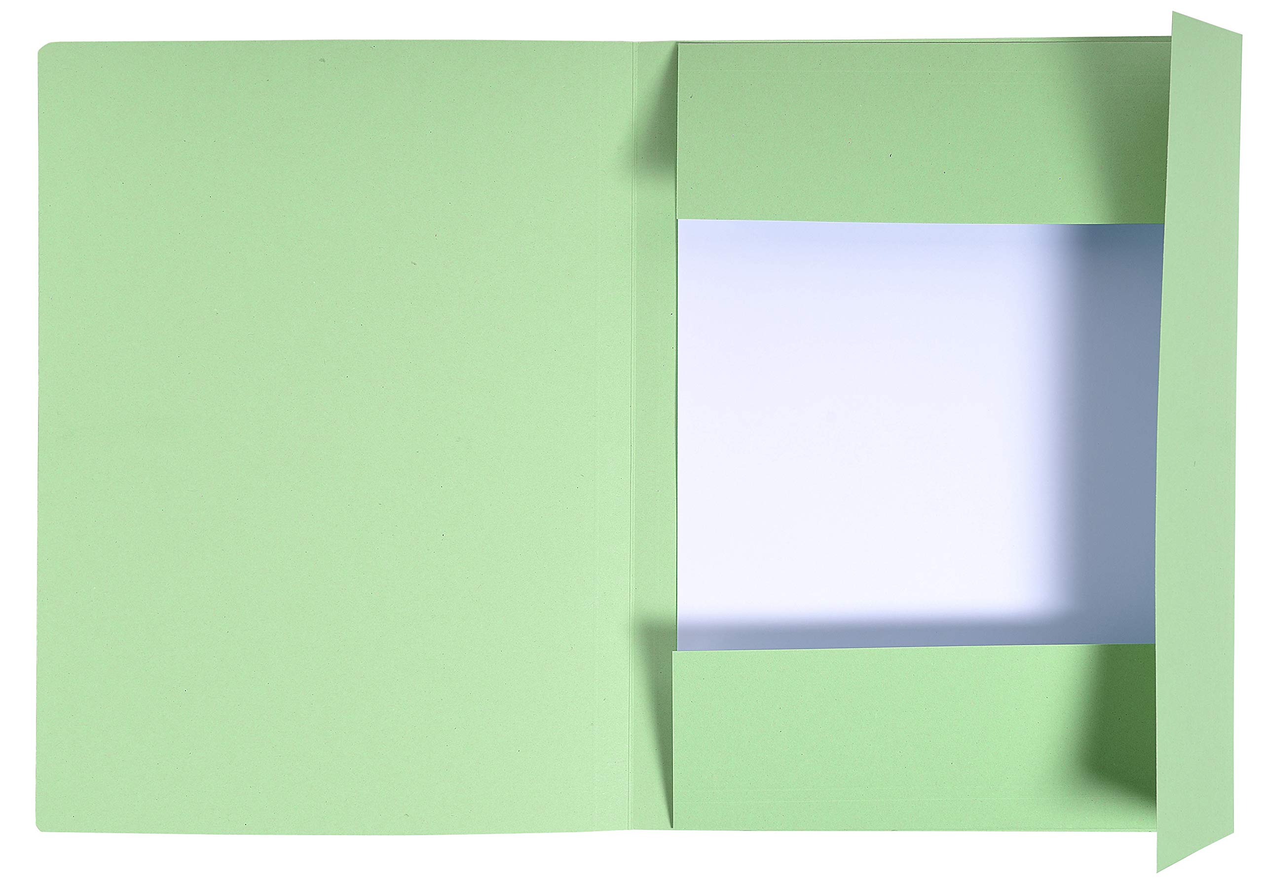 Exacompta, Ref 448013E, Forever Pre-Printed Square Cut Folder, A4 in Size, Suitable for Storing A4 Documents - Image 2
